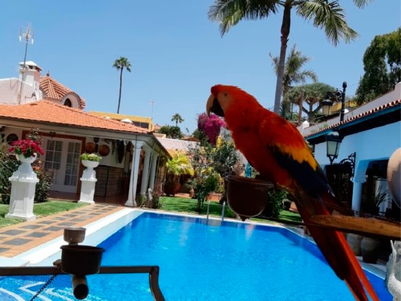 Furnished villa in Porto de la cruz for sale