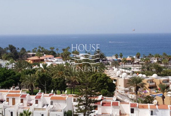 One bedroom apartment in the heart of Las Americas