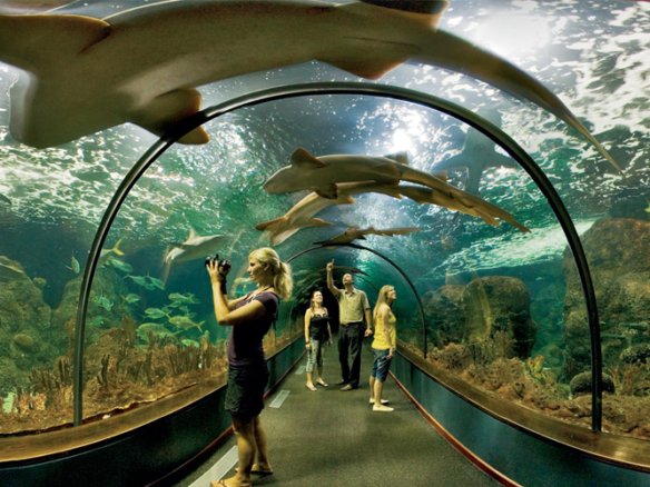 What Are Some Great Things To Do On A Weekend Trip To Tenerife