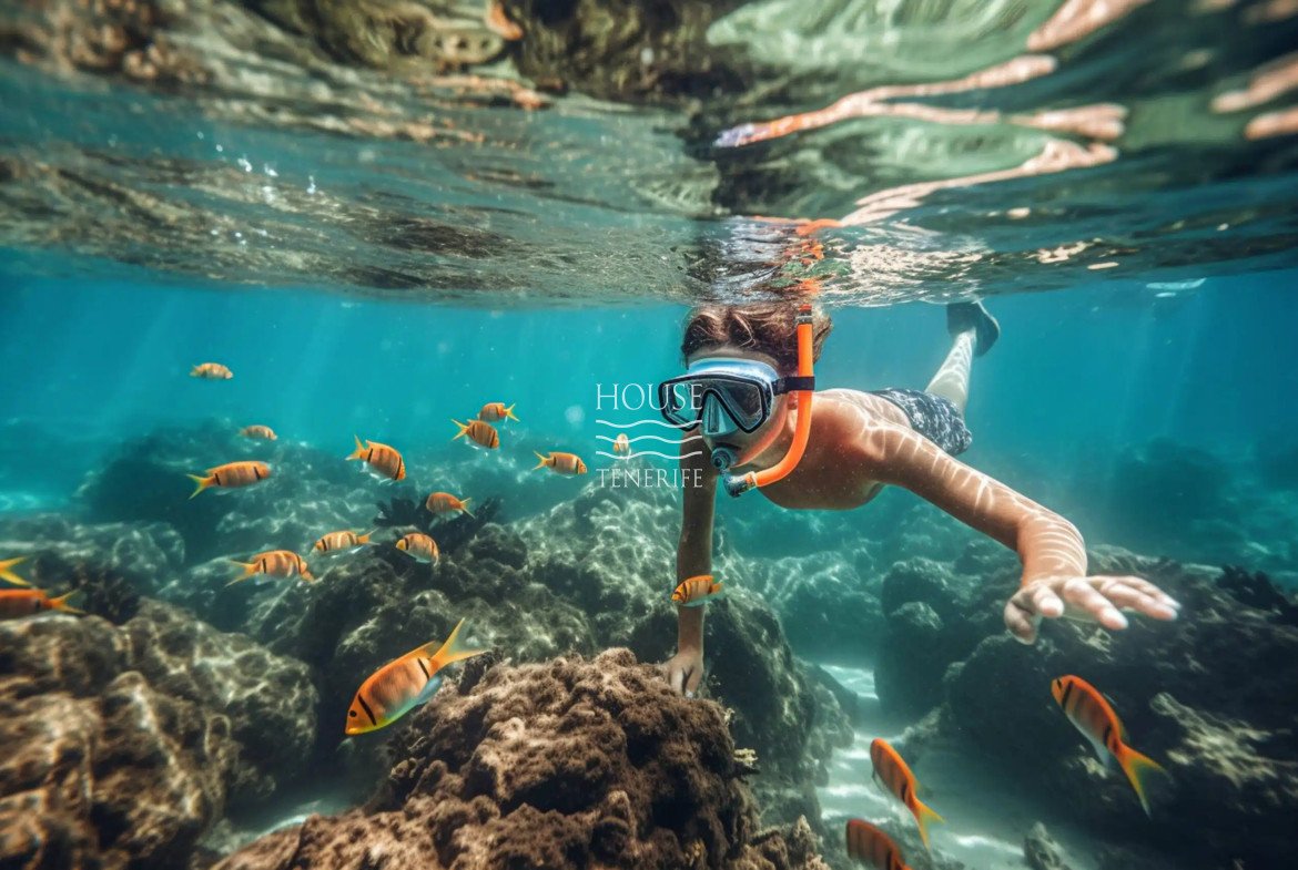 The best places in Tenerife for snorkeling and scuba diving