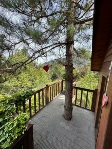 Exquisite Estate in La Orotava