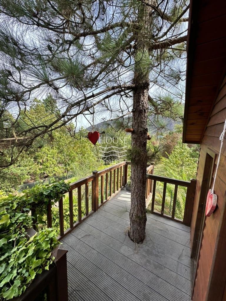 Charming Estate in La Orotava