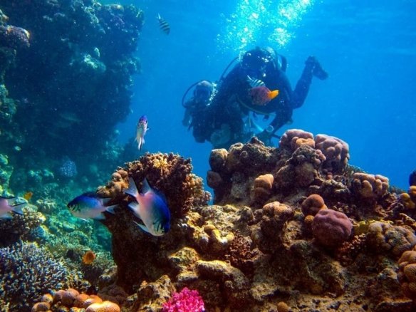 tenerife-activity-02