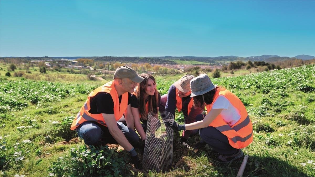 Impulsando la transición energética con innovación humana