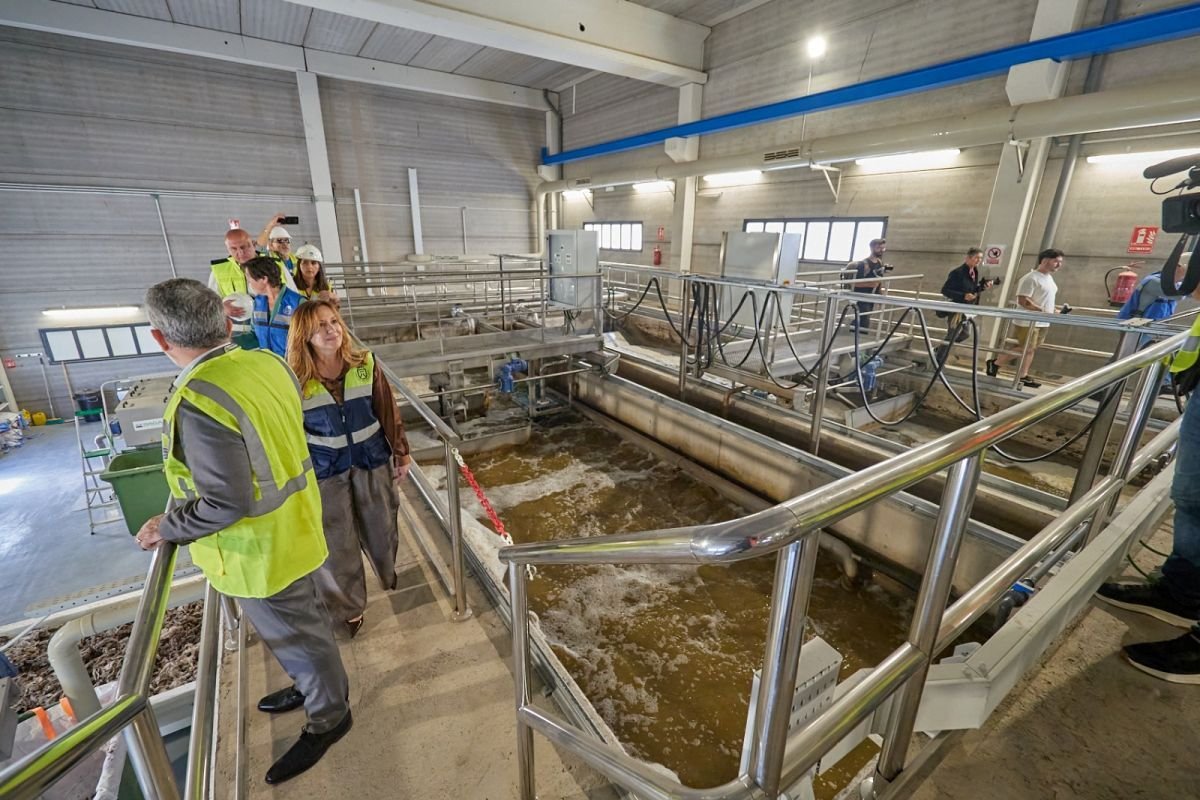 Tenerife’s Water Management Evolution: Wastewater as a Resource